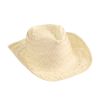 Imagen de Sombrero Panama
