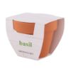 Imagen de Maceta Basil