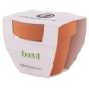 Imagen de Maceta Basil
