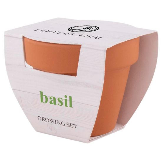 Imagen de Maceta Basil