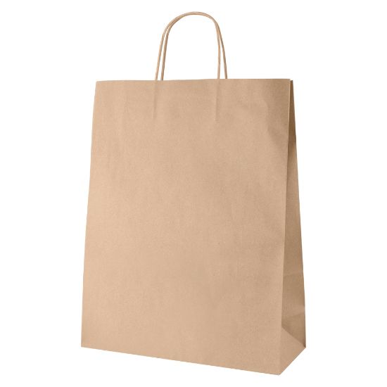 Imagen de Bolsa Aysen Grande