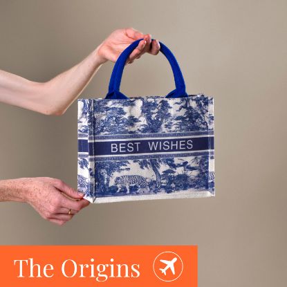 Imagen de Bolsa Viana Express