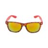 Imagen de Gafas Leo