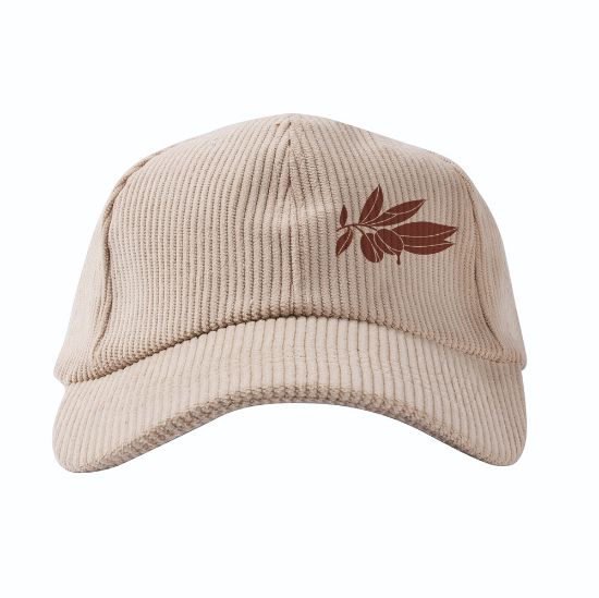 Imagen de Gorra Sommer 