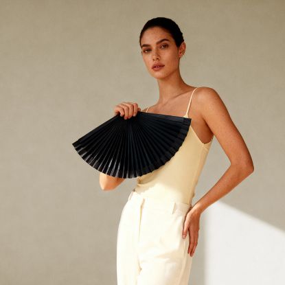 Imagen de Abanico Lacared