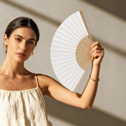 Imagen de Abanico Luft