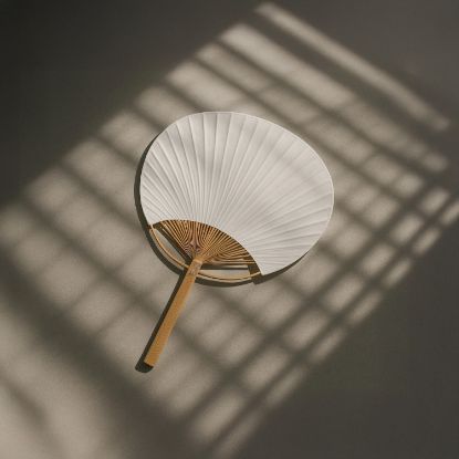 Imagen de Paipai Haize