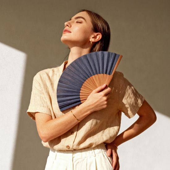 Imagen de Abanico Land